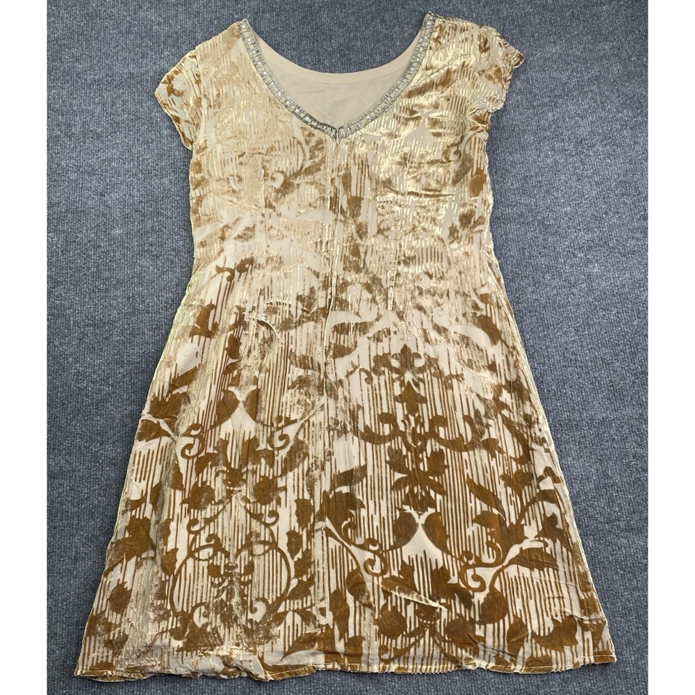 Sundance Dress Women's 10 Champagne Vineyard‎ Silk Burnout Velvet Embellished - Picture 2 of 8